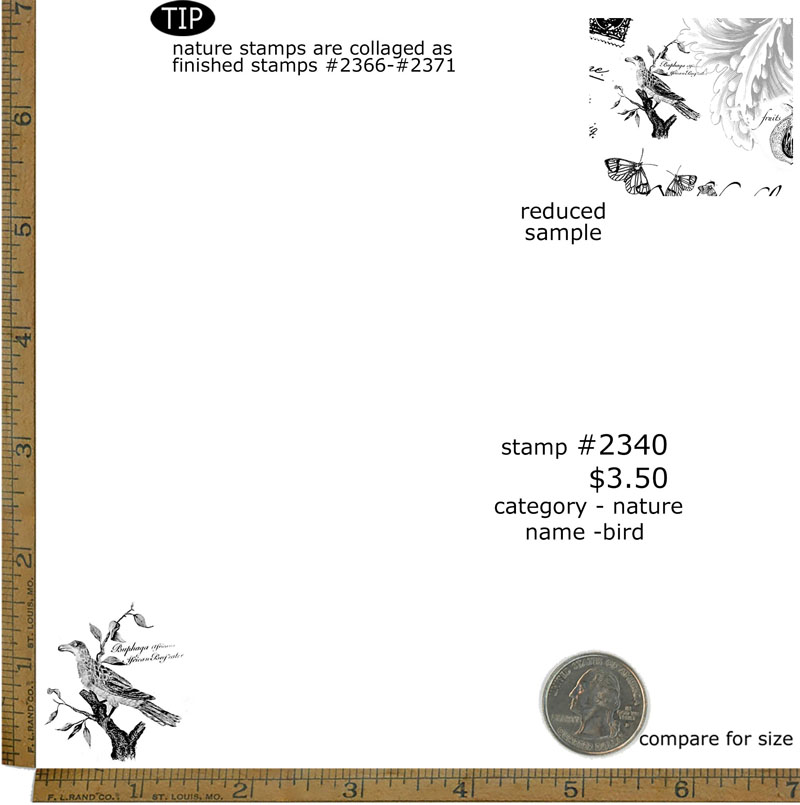 #2340 - Bird - Nature